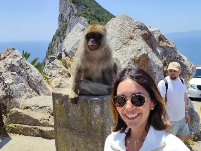Excursión privada a Gibraltar desde Sevilla
