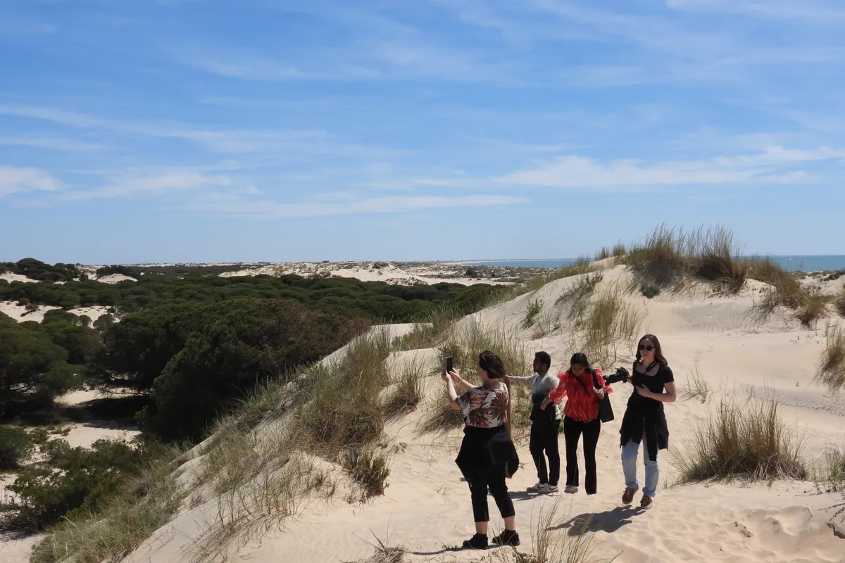 Excursión privada al Parque Nacional de Doñana desde Sevilla
