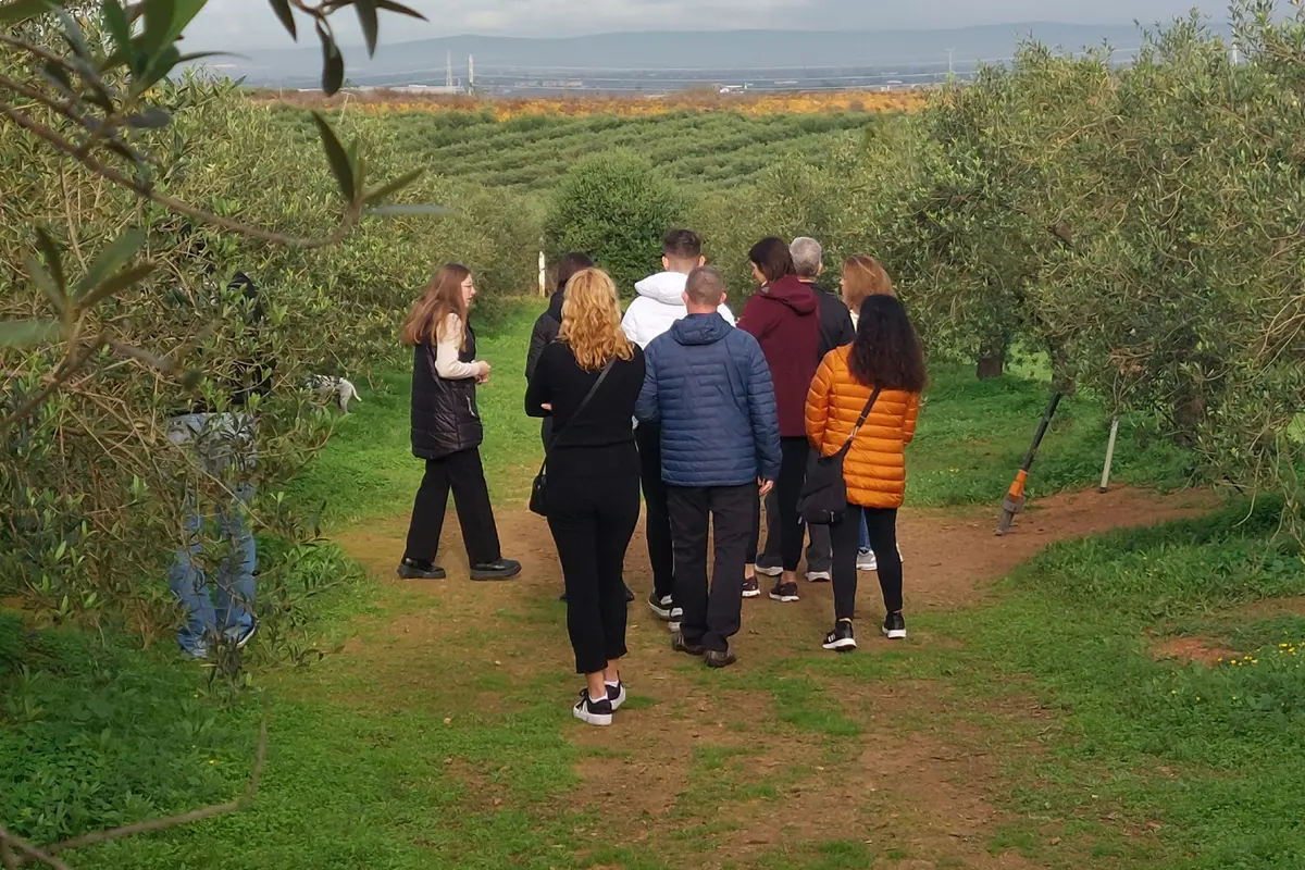Visita al olivar y almazara de aceite