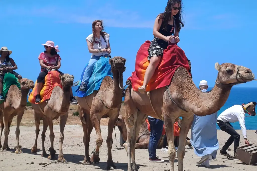 Excursión a Tánger desde Sevilla
