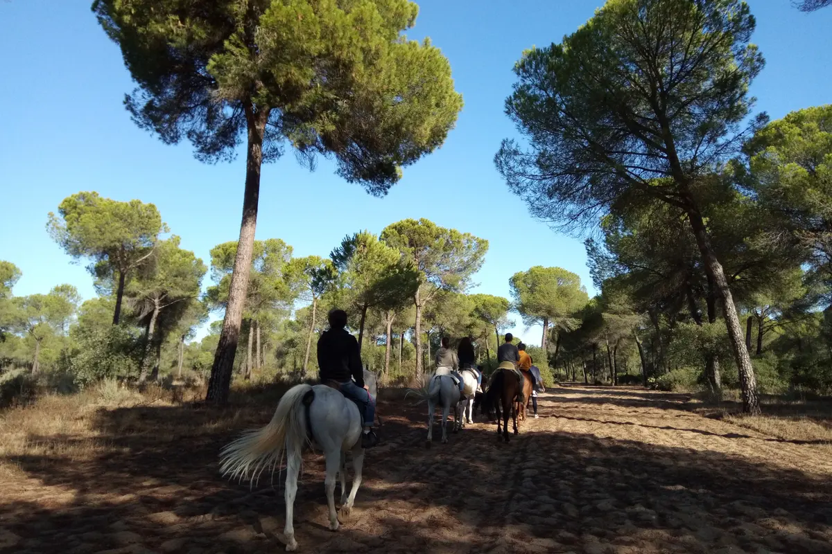 Paseo a caballo en Doñana