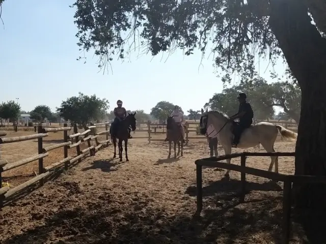 Paseo a caballo en Doñana