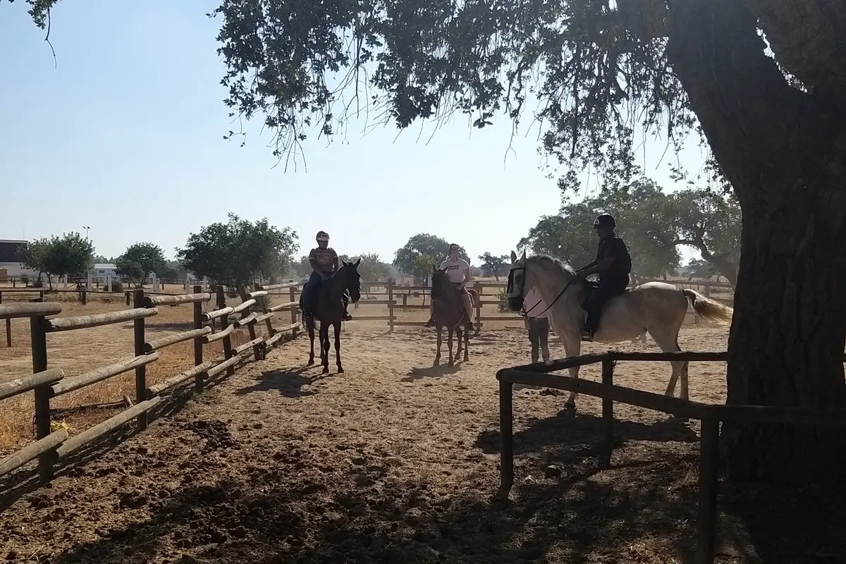 Paseo a caballo en Doñana