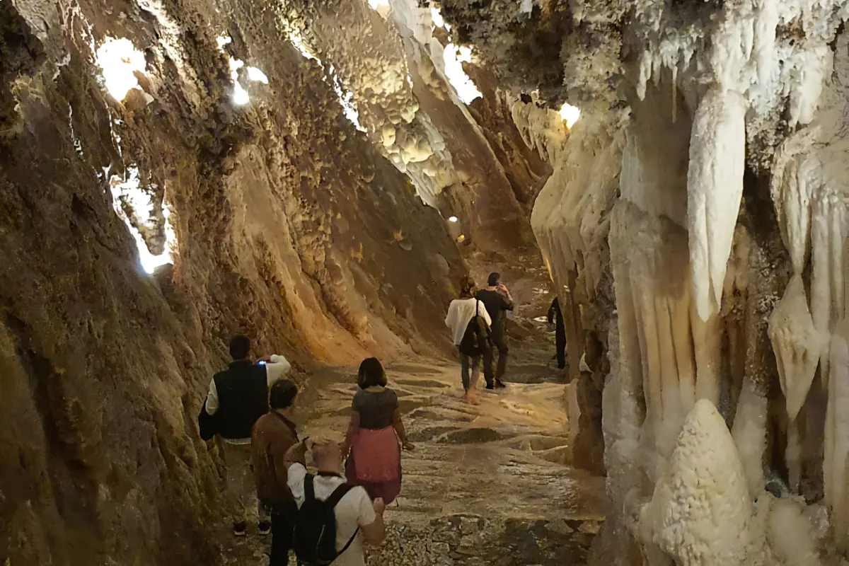 Excursión a Aracena y Ruta del Cerdo Ibérico