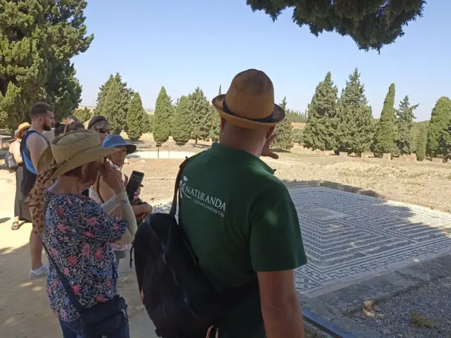 Visita guiada a las Ruinas Romanas de Itálica