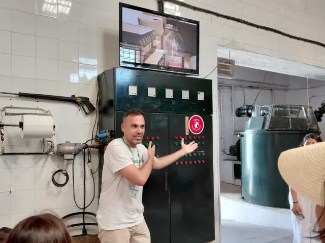 Besuch von Olivenhain und Ölmühle