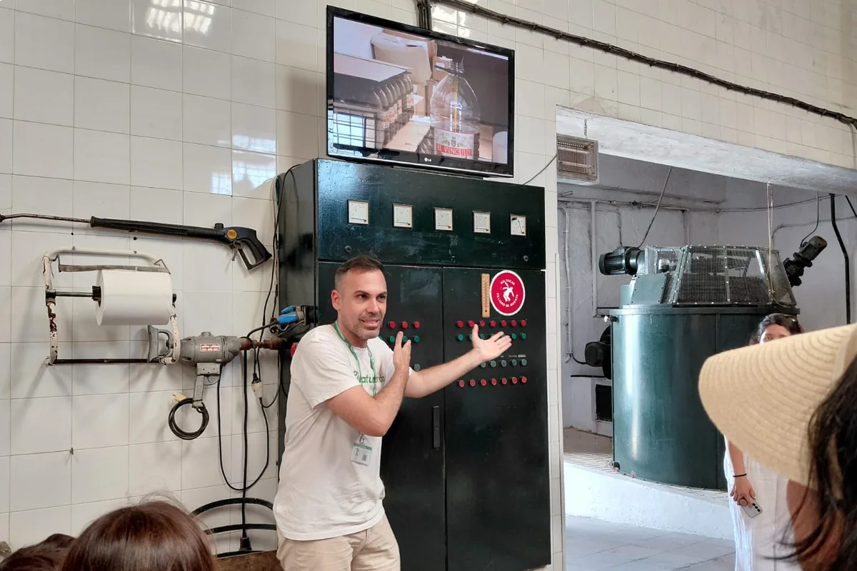 Visita al olivar y almazara de aceite