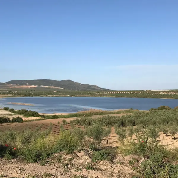 Laguna del Gosque, Martín de la Jara