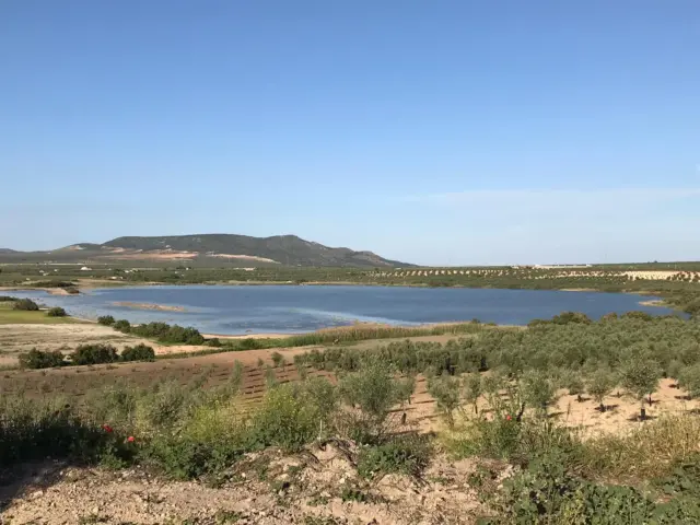 Laguna del Gosque, Martín de la Jara