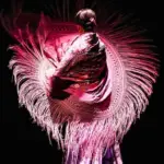 Les Ballets Espagnols de «La Argentina»