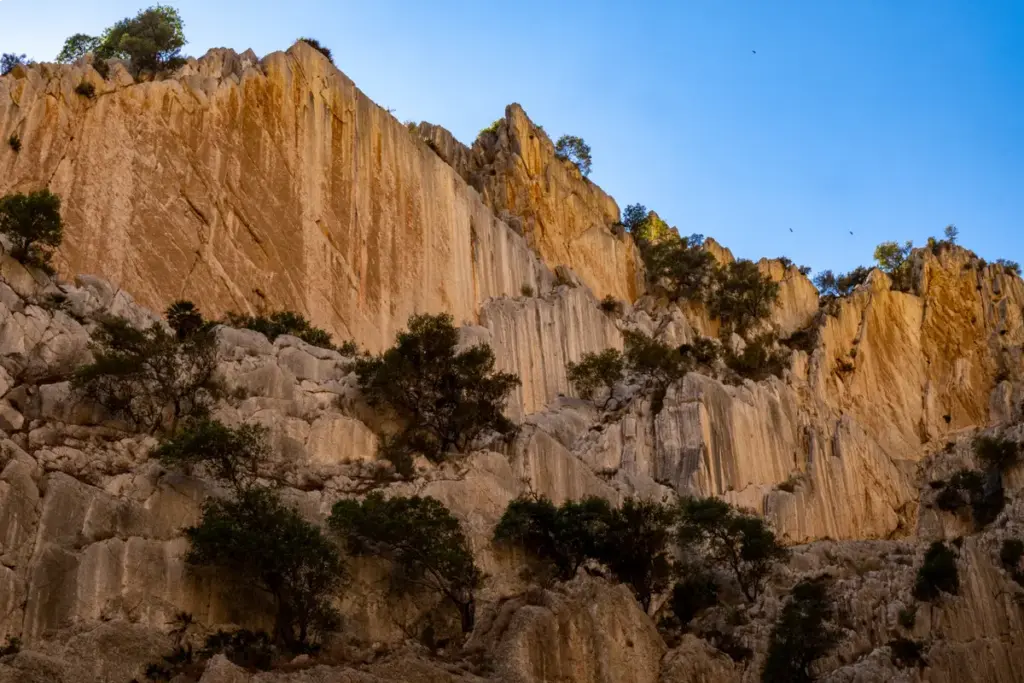 Excursión privada al Caminito del Rey desde Sevilla