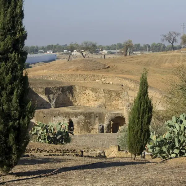 Necrópolis romana de Carmona, Carmona