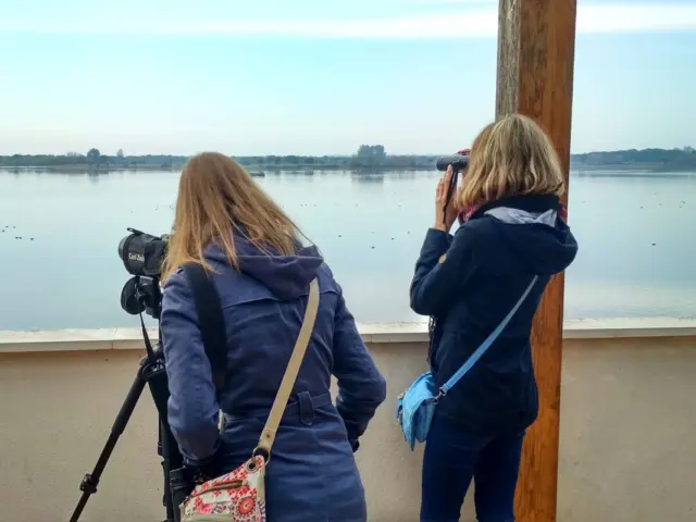 Excursión privada al Parque Nacional de Doñana desde Sevilla