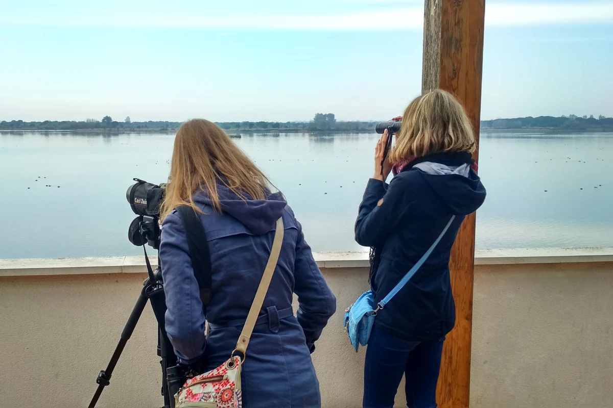 Excursión privada al Parque Nacional de Doñana desde Sevilla