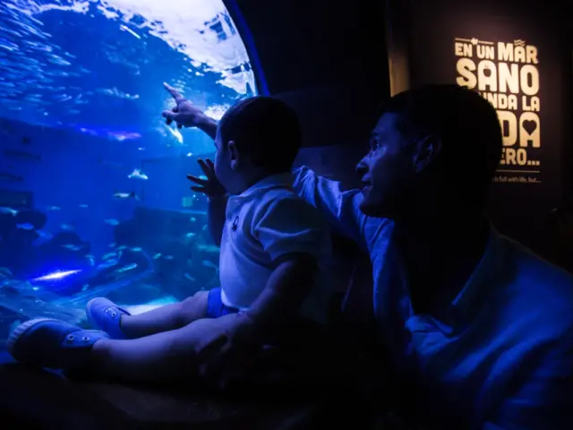 Visita al Acuario de Sevilla