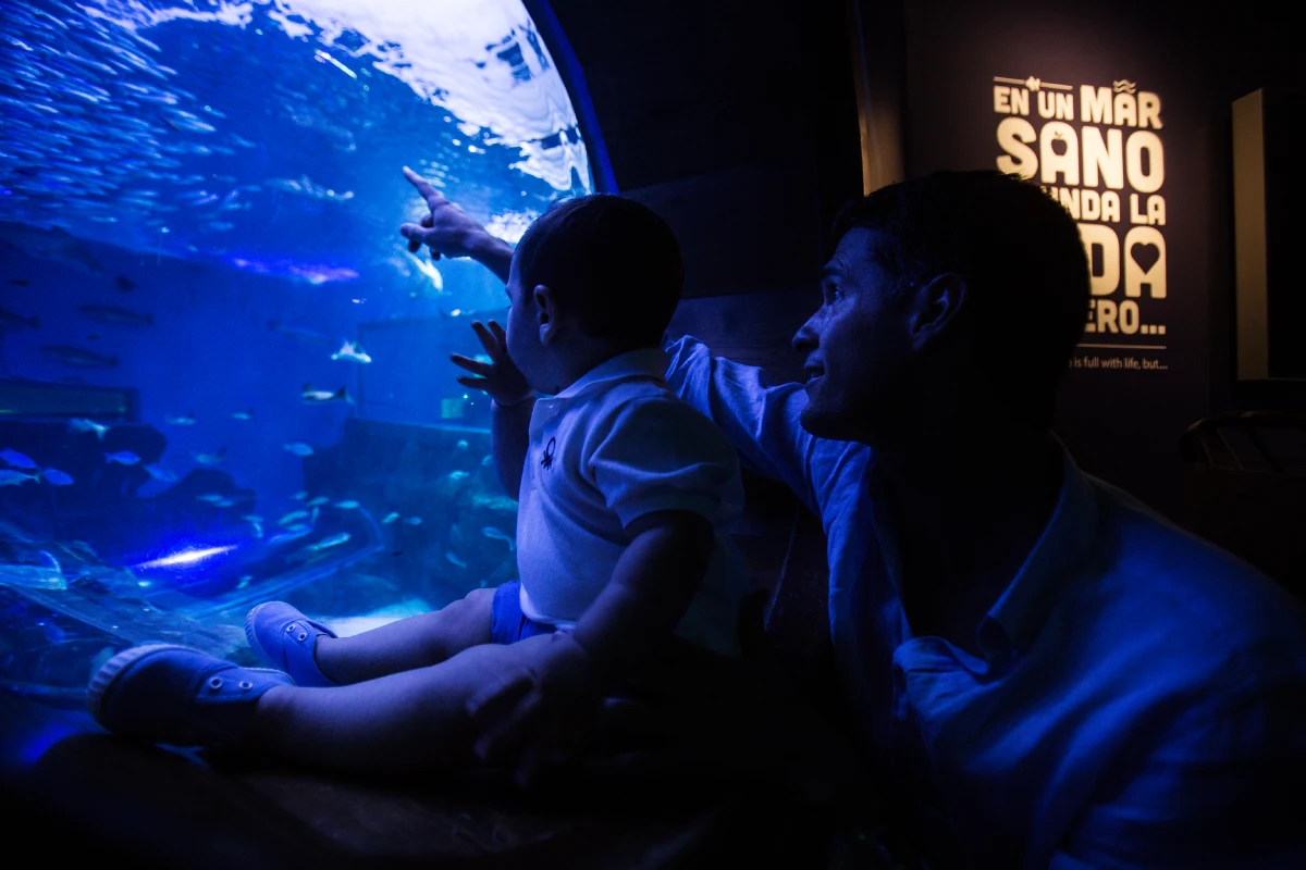 Visita al Acuario de Sevilla