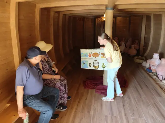 Besuch von Olivenhain und Ölmühle