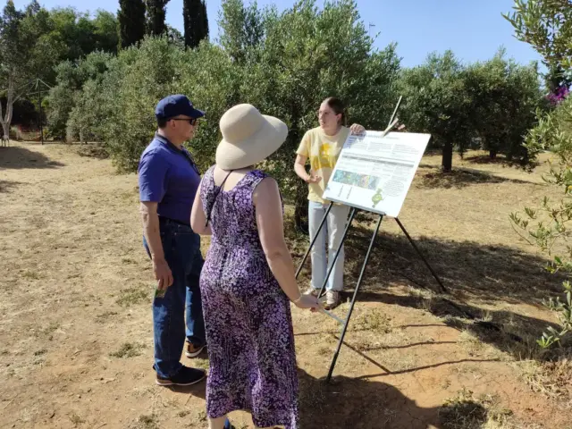 Besuch von Olivenhain und Ölmühle