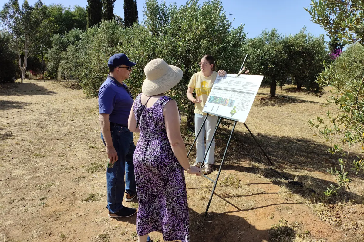 Visita al olivar y almazara de aceite