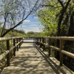 Parque nacional de Doñana y el Rocío: excursión desde Sevilla