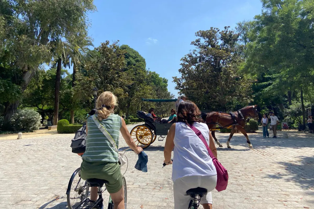 Tour privado en bicicleta por Sevilla