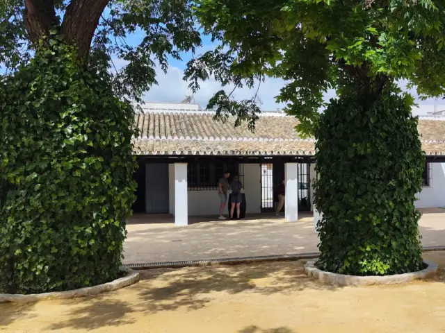 Excursión a una bodega desde Sevilla