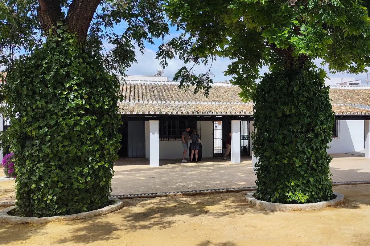 Excursión a una bodega desde Sevilla