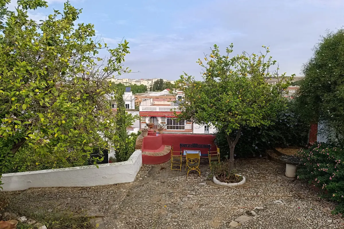 Visita a las Bodegas Halcón en Lebrija