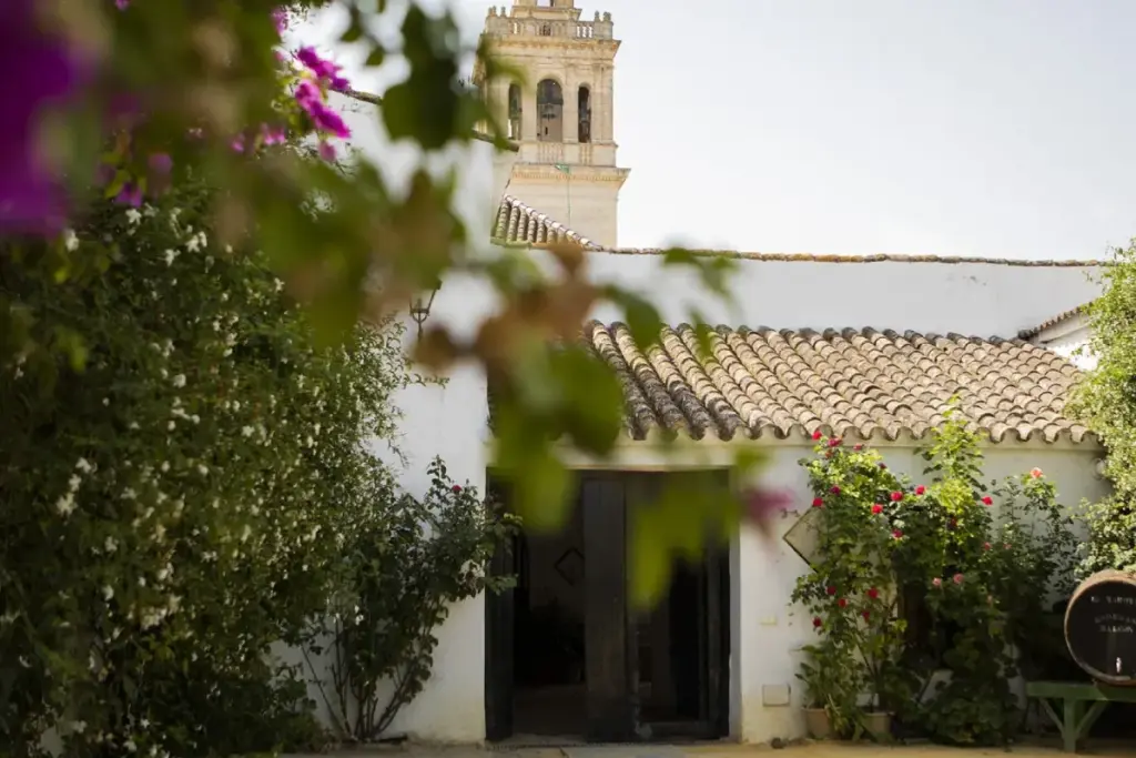 Enoturismo en el Bajo Guadalquivir Sevilla