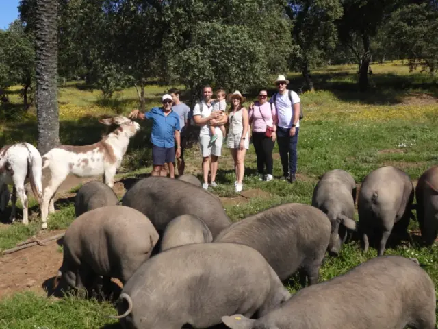 Excursión a Aracena y Ruta del Cerdo Ibérico