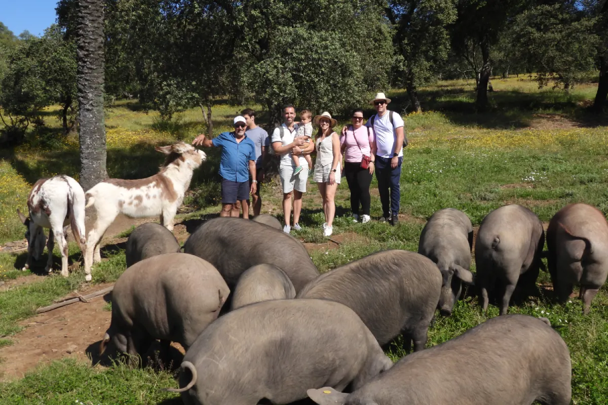 Excursión a Aracena y Ruta del Cerdo Ibérico