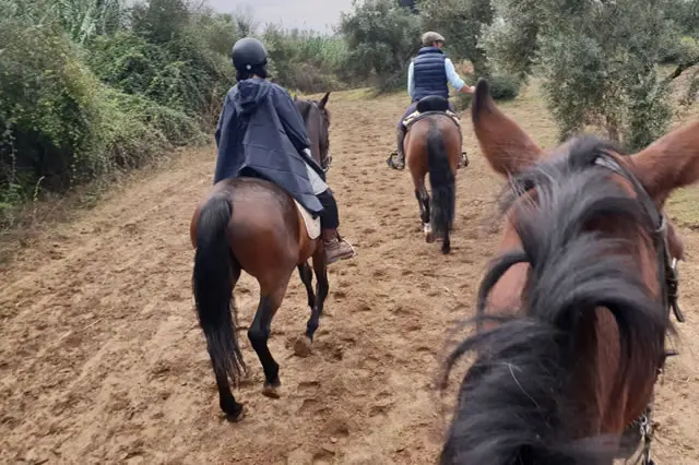 Paseo a caballo desde Villamanrique