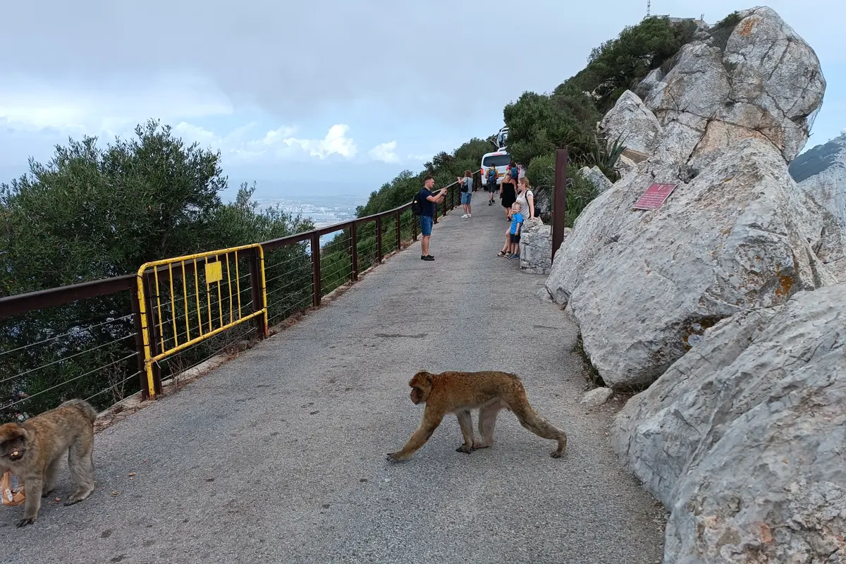 Excursión a Gibraltar desde Sevilla