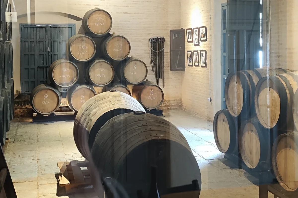 Excursión a una bodega desde Sevilla