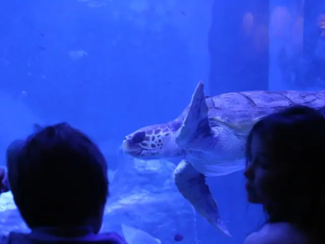 Visita al Acuario de Sevilla
