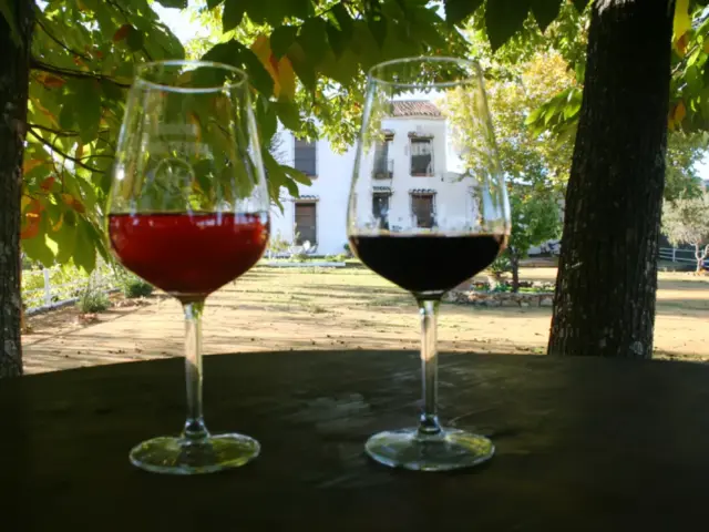 Enoturismo en la Sierra Norte de Sevilla