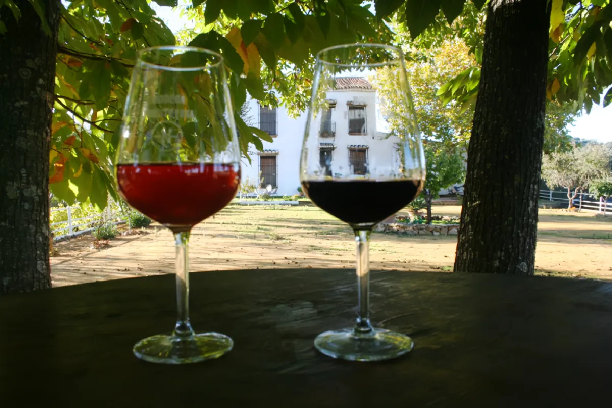 Enoturismo en la Sierra Norte de Sevilla