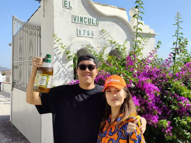 Excursión a los Pueblos Blancos y Ronda desde Sevilla