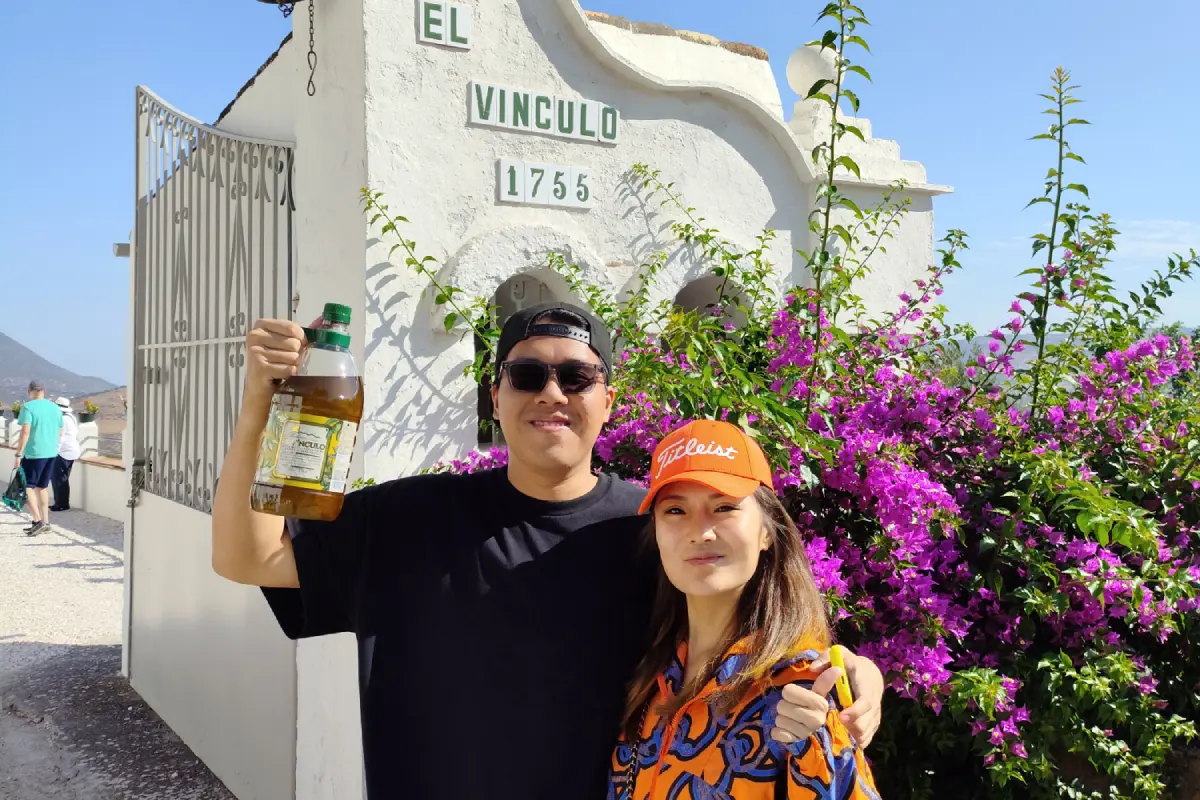 Excursión a los Pueblos Blancos y Ronda desde Sevilla