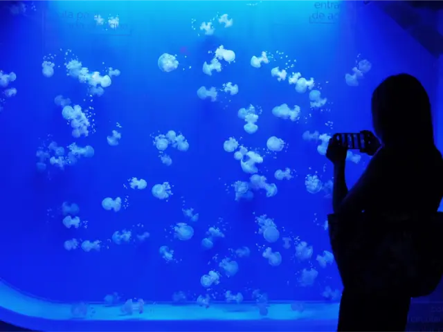 Visita al Acuario de Sevilla
