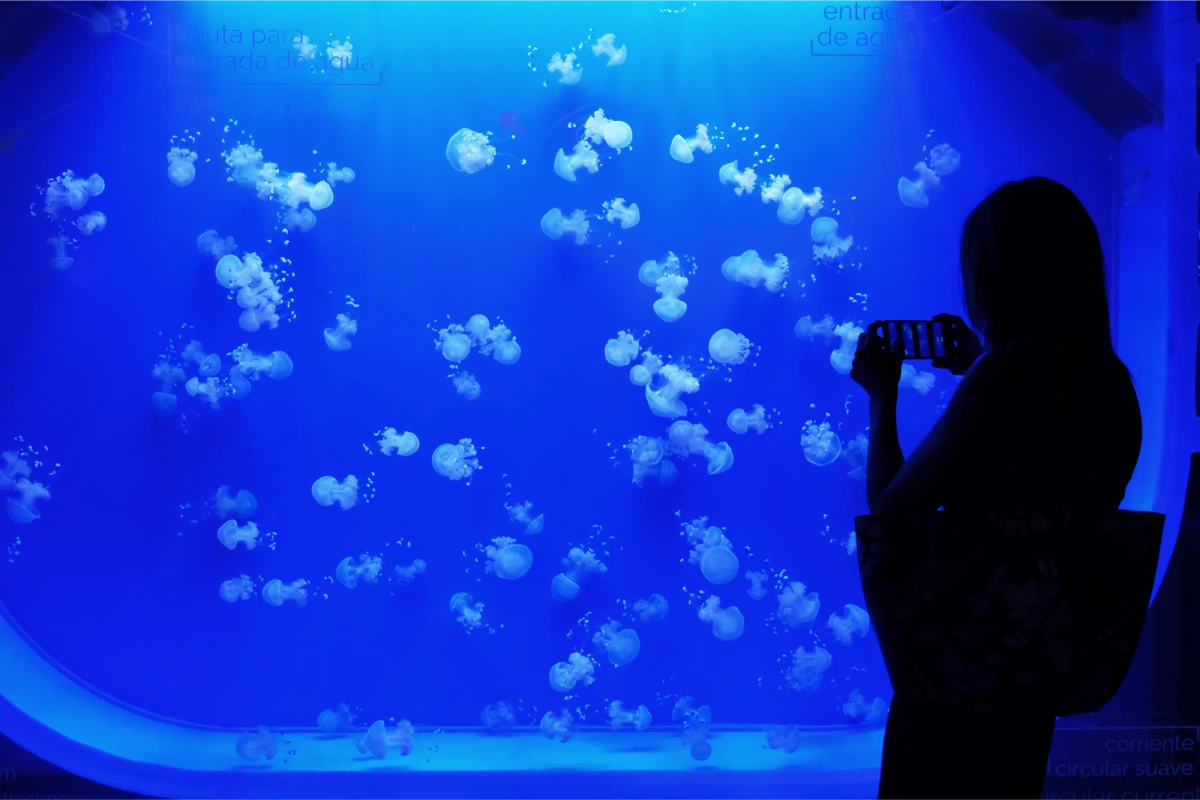 Visita al Acuario de Sevilla