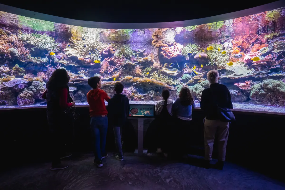 Visita al Acuario de Sevilla