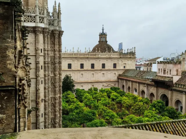 Visita Privada Catedral de Sevilla