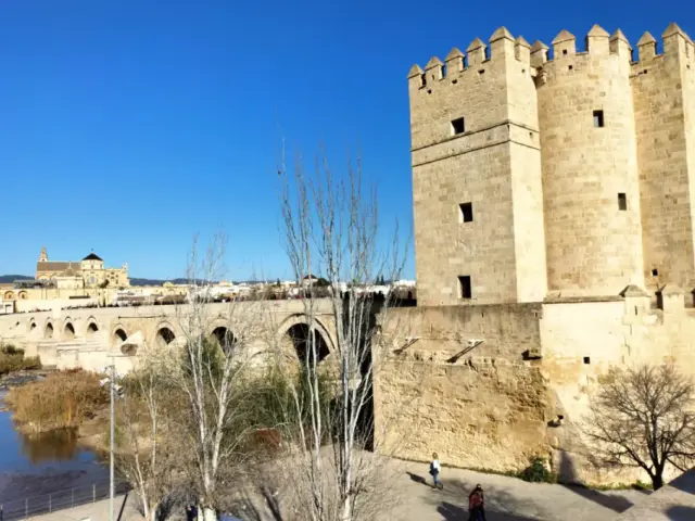 Excursión a Córdoba desde Sevilla