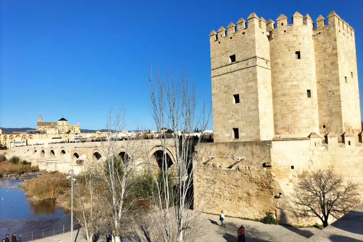 Excursión a Córdoba desde Sevilla