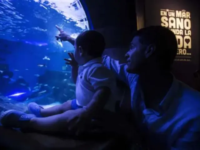 Parada del bus turístico: Acuario de Sevilla