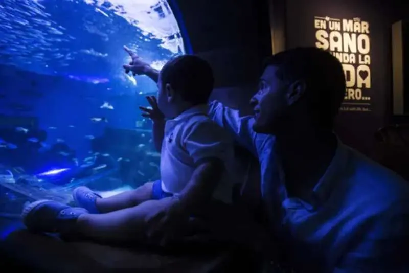 Parada del bus turístico: Acuario de Sevilla